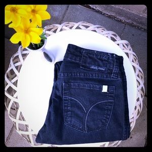 DISH skinny jeans in dark wash, size 26